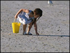 beach_lost_md.jpg